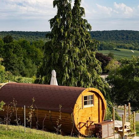 Experience Insolite : Tonneau Merveilleux Cormoyeux Exterior foto
